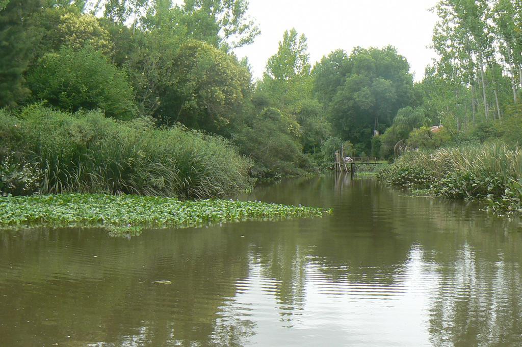 Posada Barlovento Tigre Værelse billede