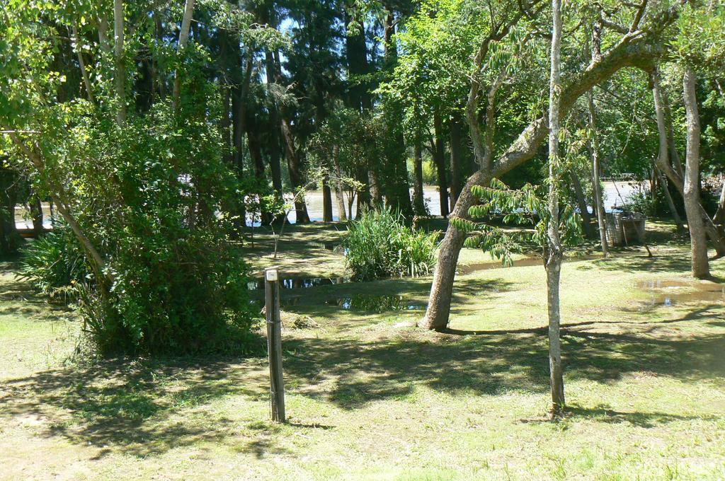 Posada Barlovento Tigre Værelse billede