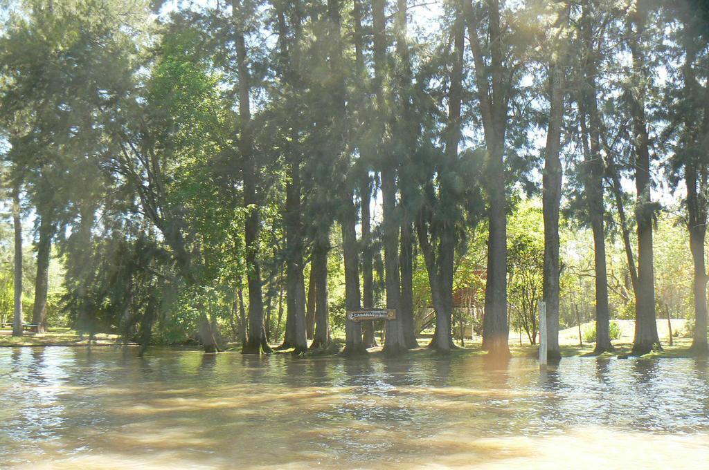 Posada Barlovento Tigre Værelse billede