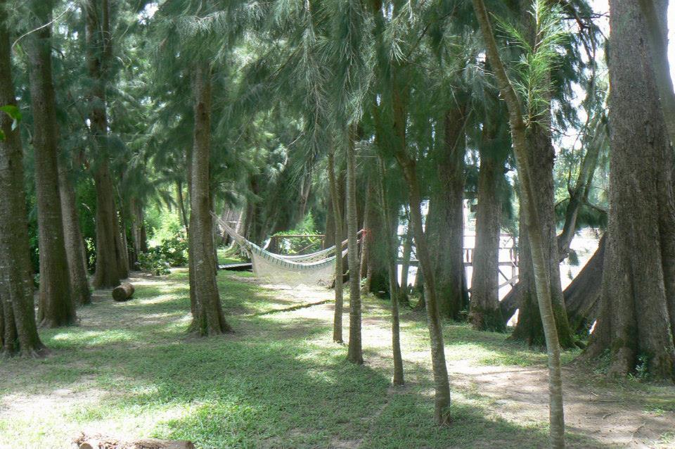 Posada Barlovento Tigre Værelse billede